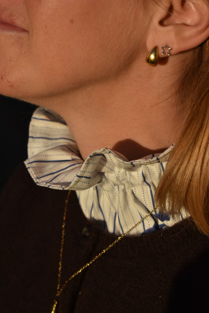 Col victorien Poisson 🐟