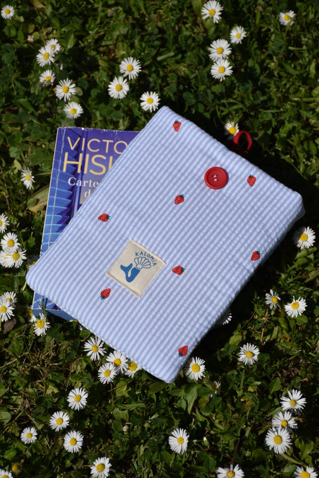 Pochette de livres Fraise
