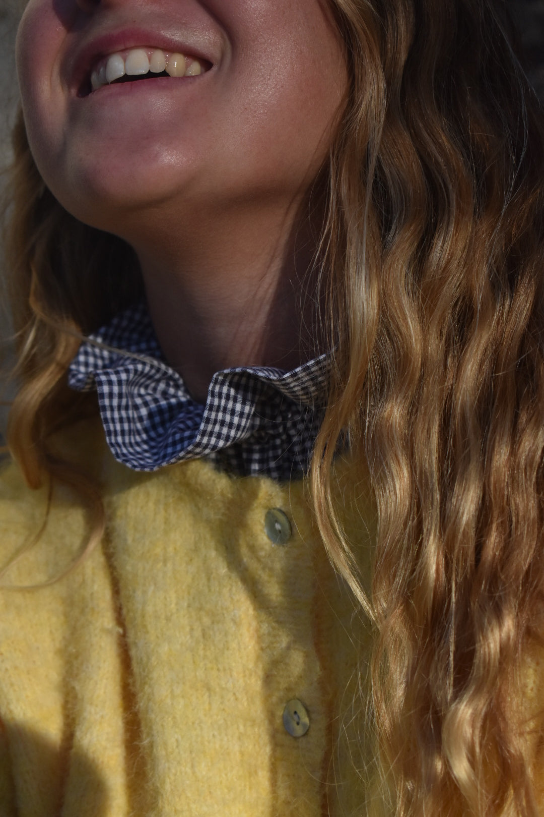 Col Victorien Vichy bleu