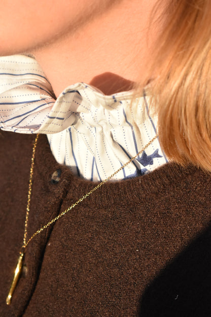 Col victorien Poisson 🐟